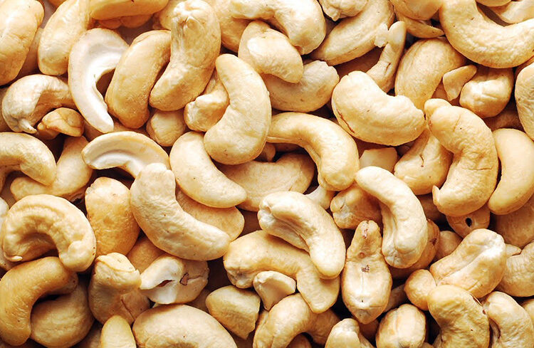 Cashew Nut Export in Malaysia